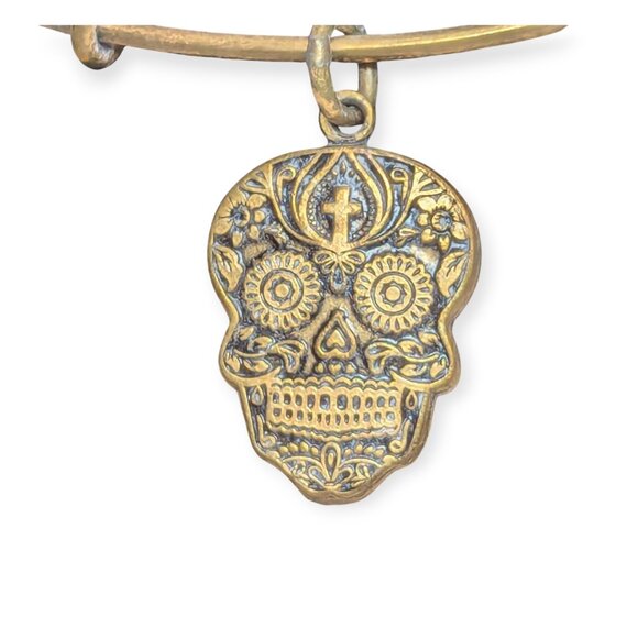 Alex & Ani 2016 Calavera Gold Tone Skull Copper Charm Bracelet - Picture 3 of 13